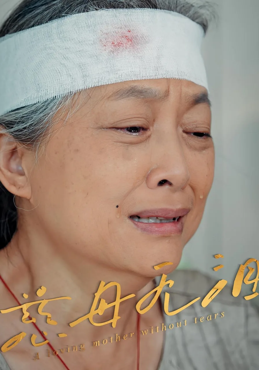 慈母无泪