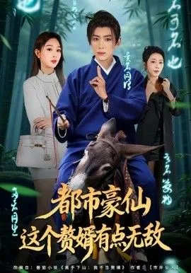 都市豪仙，这个赘婿有点无敌