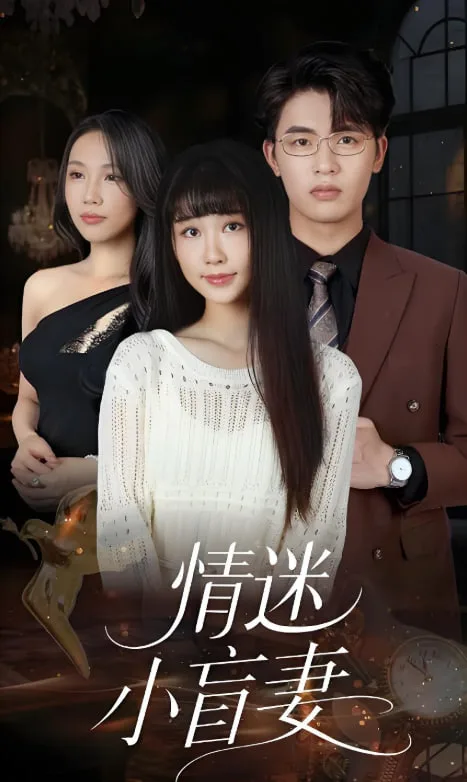 情迷小盲妻