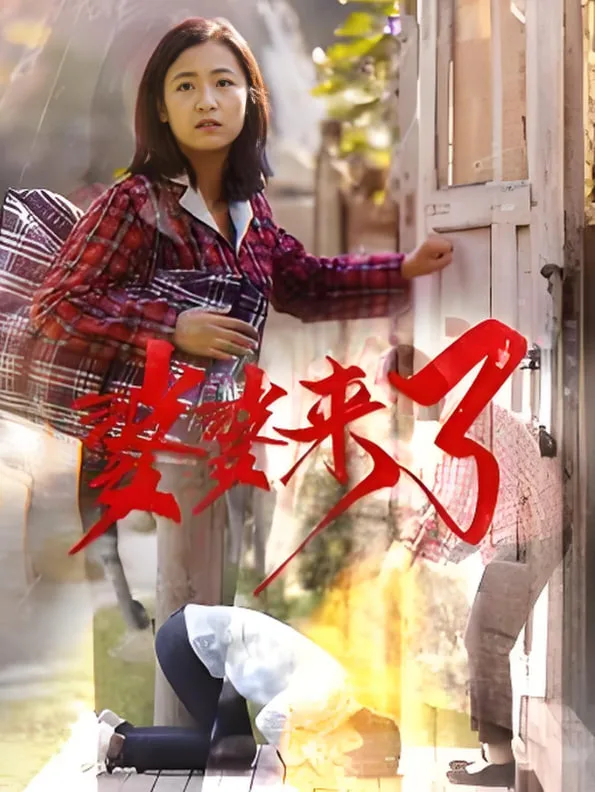婆婆来了