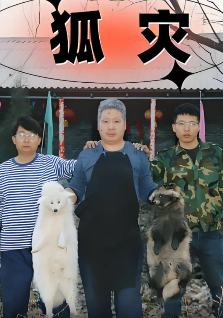 狐灾